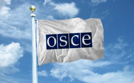 ОБСЕ обеспокоена политическими преследованиями команды Шахова